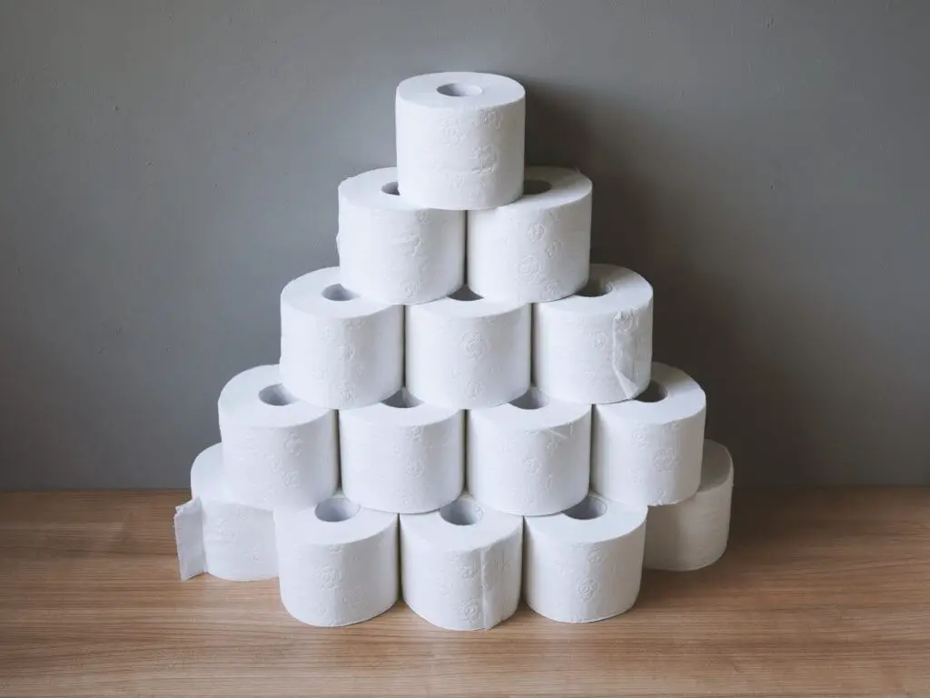 Should We Try EnviroPanda Toilet Paper In The Toilet?