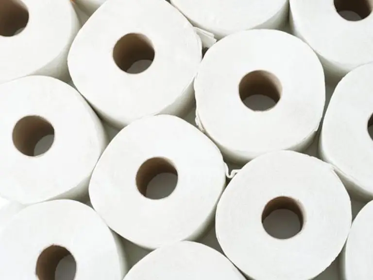 Is Caboo Tree-Free Bamboo Toilet Paper Better Than Other Toilet Paper Brands?
