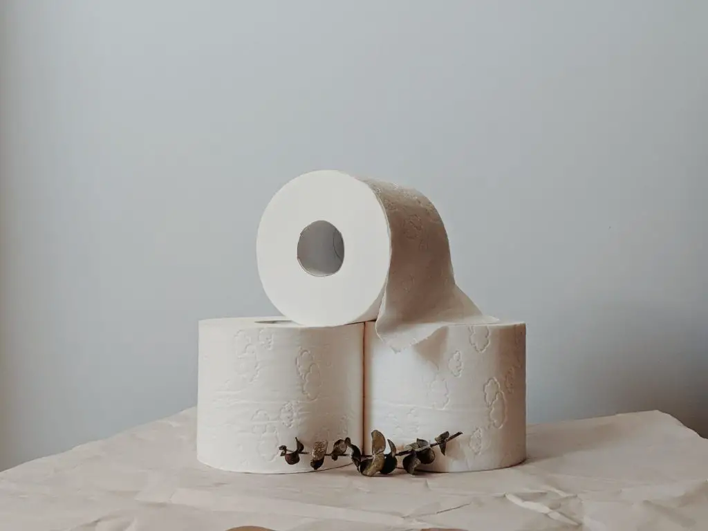 Perhaps You Should Switch To Betterway Bamboo Toilet Paper Soon