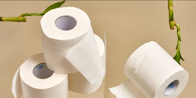 Recycled Toilet Paper