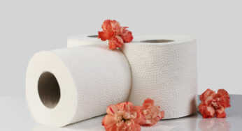 Who Gives A Crap – Premium Bamboo Toilet Paper – Worth The Money?!!