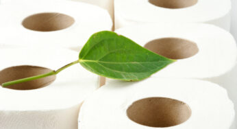 Why Do I Love Bamboo Tissue?