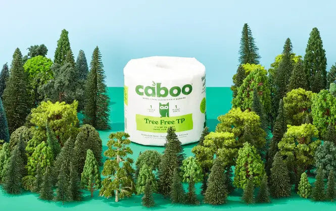 Caboo Bamboo Toilet Paper