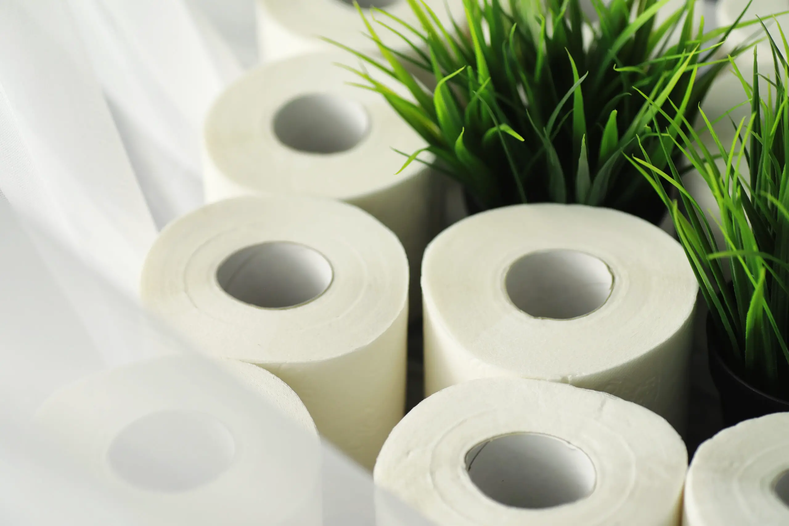 Rolls-of-toilet-paper-with-the-plant-inside-as-a-seedling-tree