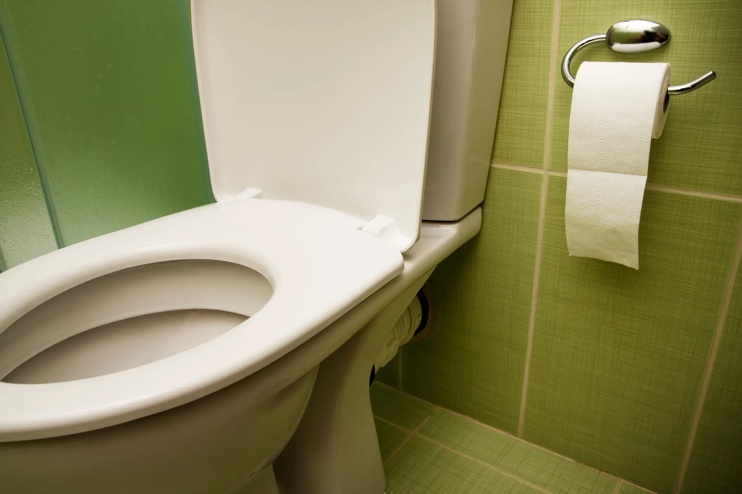 toilet seat and paper in bathroom