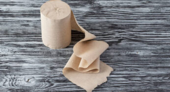 Best Bamboo Toilet Paper in UK