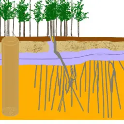 An image showcasing bamboo's role in preventing soil erosion