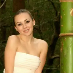 An image featuring a lush bamboo forest backdrop with a stack of bamboo toilet paper rolls in the foreground, emphasizing eco-friendly packaging