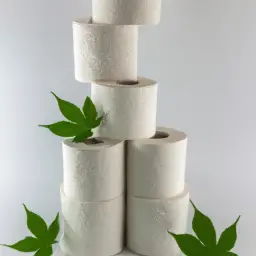 An image showcasing a stack of soft, eco-friendly hemp toilet paper rolls, adorned with vibrant green leaves