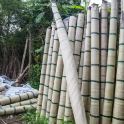 An image showcasing the intricate process of making bamboo toilet paper