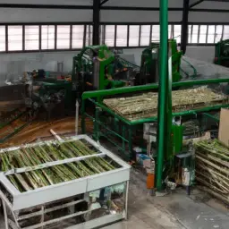 An image showcasing a state-of-the-art bamboo processing plant, bustling with workers utilizing advanced machinery to transform bamboo into innovative products, highlighting the sustainable and eco-friendly nature of this revolutionary solution