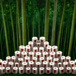 An image that depicts a lush rainforest being replaced by stacks of traditional toilet paper rolls, symbolizing the devastating deforestation caused by their production